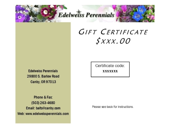 Picture of Gift Certificate