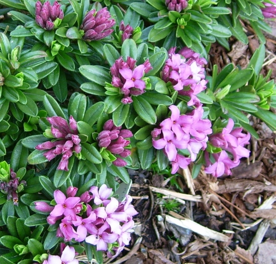 In April, 2 years old