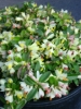 Picture of Polygala chamaebuxus